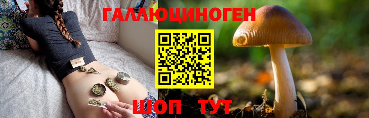 Галлюциногенные грибы Psilocybe Железноводск