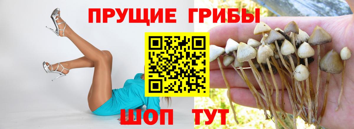 Галлюциногенные грибы мухоморы  Вход с VPN  Железноводск 